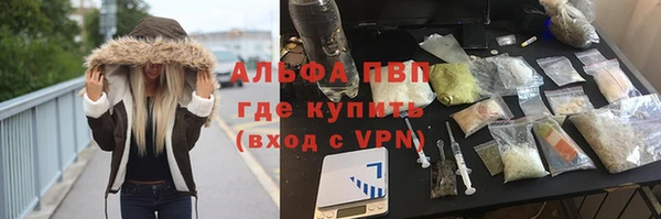 круглые Аркадак