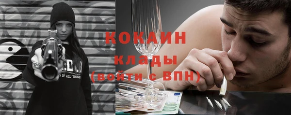 гидра Арсеньев