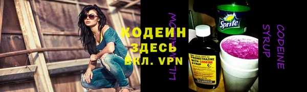 гидра Арсеньев