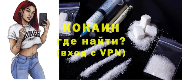 гидра Арсеньев